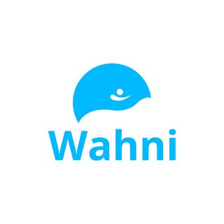 IT Solutions Wahni